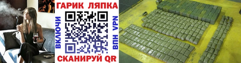 ГАШ гашик  Купить где  Пласт 