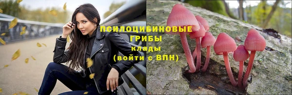 дживик Краснотурьинск