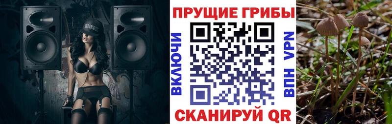 Псилоцибиновые грибы Magic Shrooms  Купить где  Пласт 